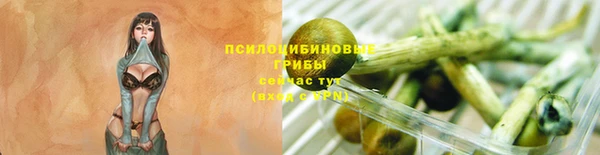 скорость mdpv Инта