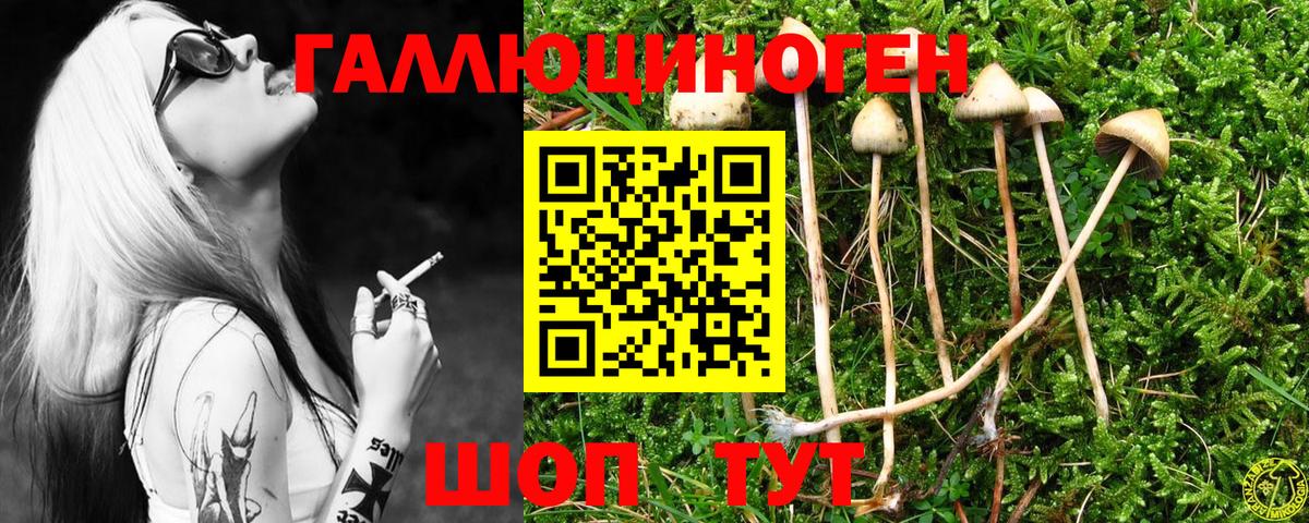 Псилоцибиновые грибы MAGIC MUSHROOMS  Большой Камень  Галлюциногенные грибы Magic Shrooms 
