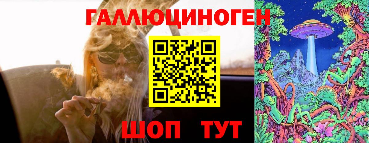 Галлюциногенные грибы прущие грибы Большой Камень