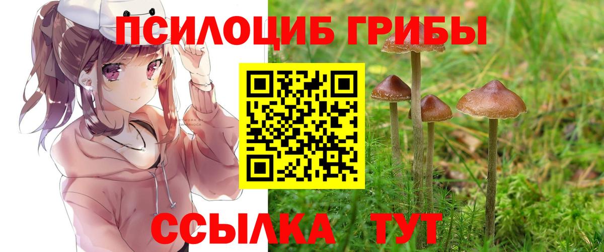 Галлюциногенные грибы прущие грибы  Вход с VPN  Большой Камень 